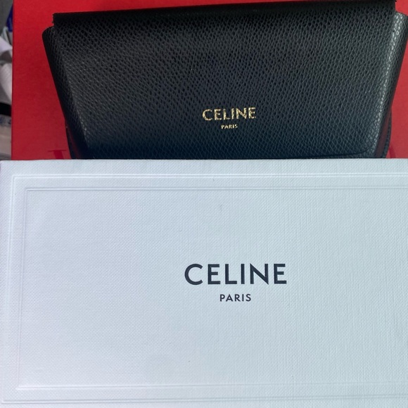 Celine Butterfly Acetate Sunglasses - Picture 3 of 4